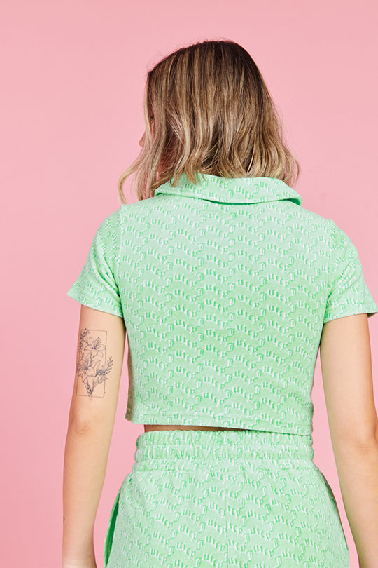חולצת פולו ז'קארד מרוכסנת Monogram בצבע ירוק
